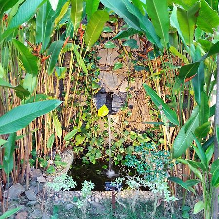 קלנגוטה Rock Forest Goa Honeymoon Cottages מראה חיצוני תמונה