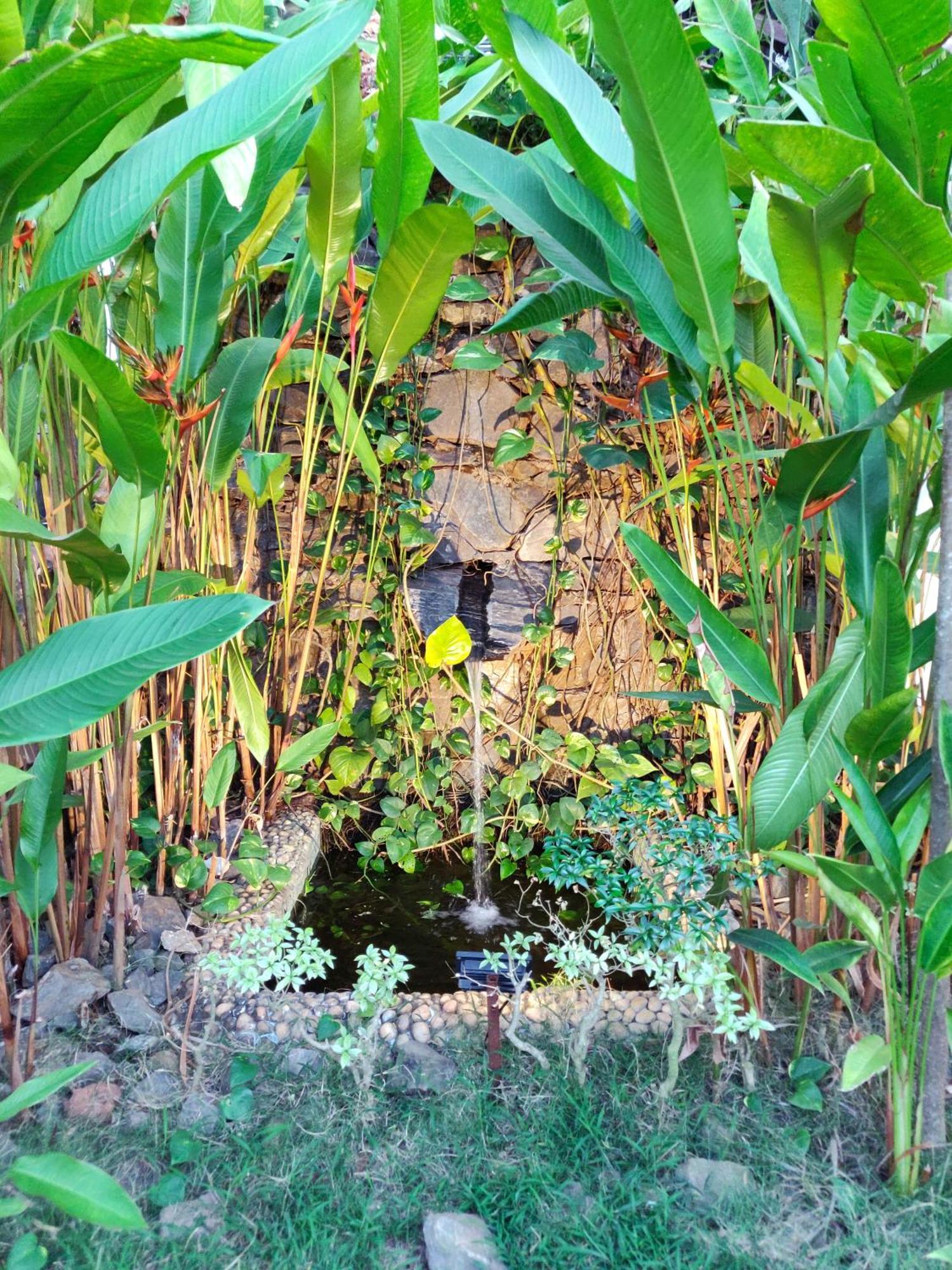 קלנגוטה Rock Forest Goa Honeymoon Cottages מראה חיצוני תמונה